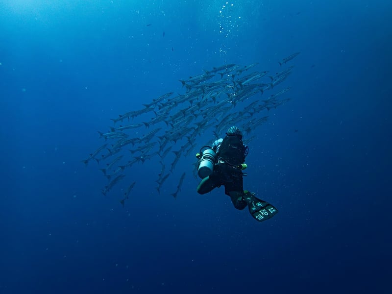 Jacques Cousteau